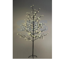 Дерево комнатное 