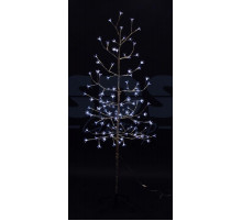 Дерево комнатное 