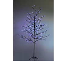 Дерево комнатное 