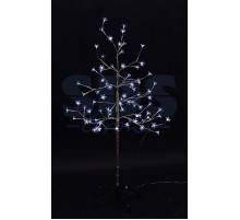 Дерево комнатное 