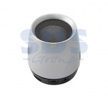 Акустическая колонка 2121 Bluetooth, microSD, USB-flash, AUX, FM-tuner серебро