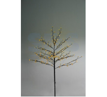 Дерево комнатное 