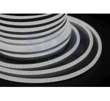 Гибкий неон светодиодный 360, постоянное свечение, БЕЛЫЙ, 220В, бухта 50м NEON-NIGHT