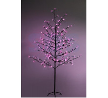 Дерево комнатное 