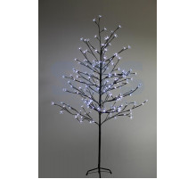 Дерево комнатное 