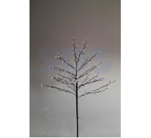 Дерево комнатное 