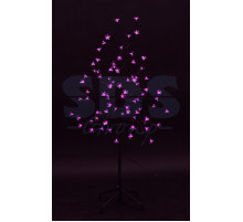 Дерево комнатное 