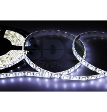 LED лента герметичная в силиконе, ширина 10 мм, IP65, SMD 5050, 60 диодов/метр, 12V, цвет светодиодов белый