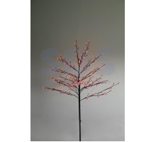 Дерево комнатное 