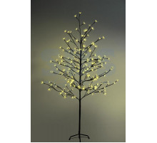 Дерево комнатное 