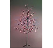 Дерево комнатное 