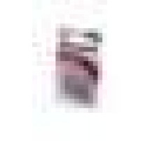 Panasonic Everyday Power LR03EPS/2BP LR03 BL2