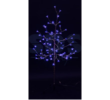 Дерево комнатное 