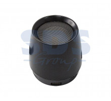 Акустическая колонка 2121 Bluetooth, microSD, USB-flash, AUX, FM-tuner черная