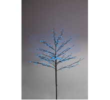 Дерево комнатное 